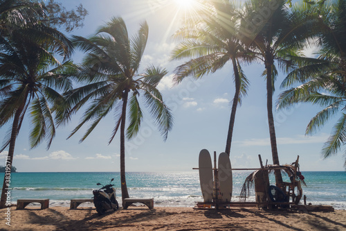 Surfboards beside coconut trees at summer beach.