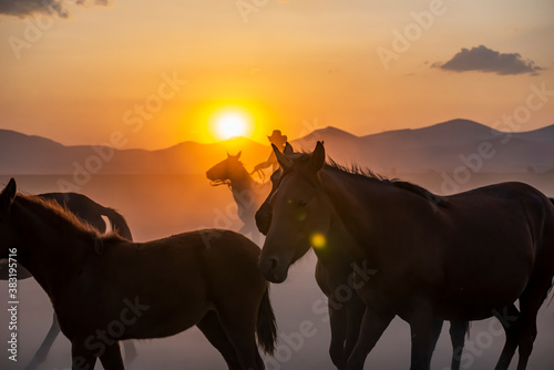 Wild horses run in foggy at sunset. Between Cappadocia and Kayseri  Turkey