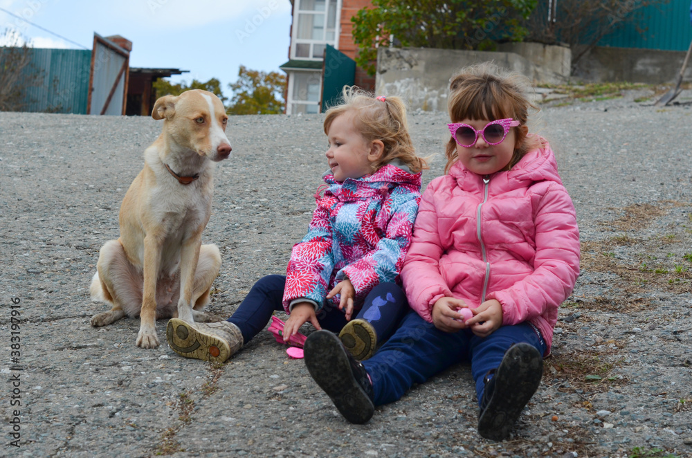 caucasian children with dog outdoor caucasian children with dog outdoor