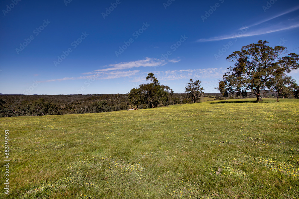 Obraz premium Rural Landscape - Spring Flowers - Countryside - Farm Land - Blue skies