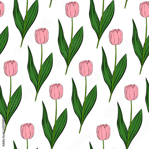 Seamless pattern pink flowers tulips vector illustration