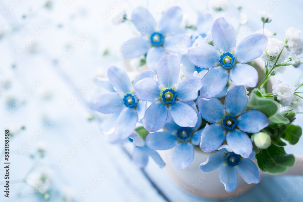 ブルースターとかすみ草 青い花の背景素材 Stock Photo Adobe Stock