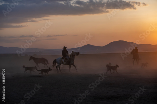 Wild horses run in foggy at sunset. Between Cappadocia and Kayseri  Turkey