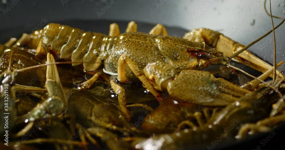 The pot with live crayfish is slowly rotating. The pot with live crayfish is slowly rotating.
