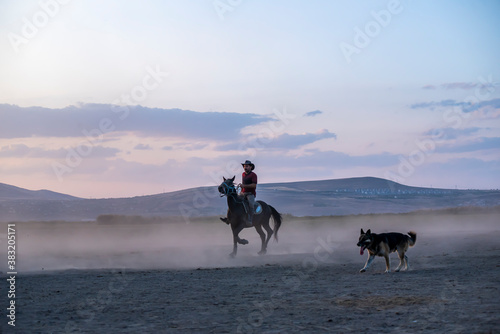 Wild horses run in foggy at sunset. Between Cappadocia and Kayseri, Turkey
