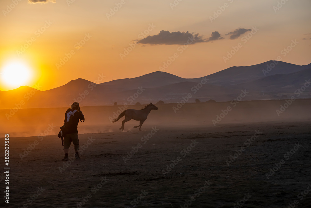 Wild horses run in foggy at sunset. Between Cappadocia and Kayseri, Turkey