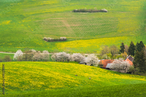 landscape with a house. Sunny day on the meadow. country side in the Switzerland. 