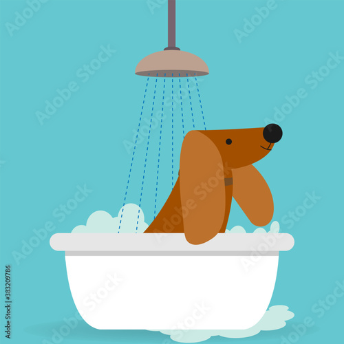 Brown dog taking a bath with soap foam
