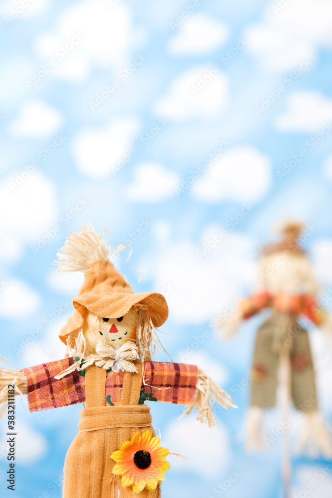 Fototapeta premium wallpaper and scarecrow