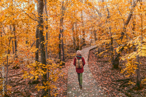 Woman walking in autumn foliage forest woods in city park with backpack. Travel hike fall destination in Quebec, Canada.