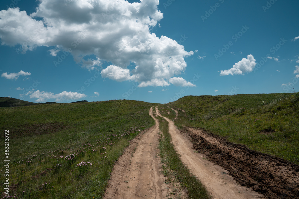 Meadow path and blue sky with whhite clouds.