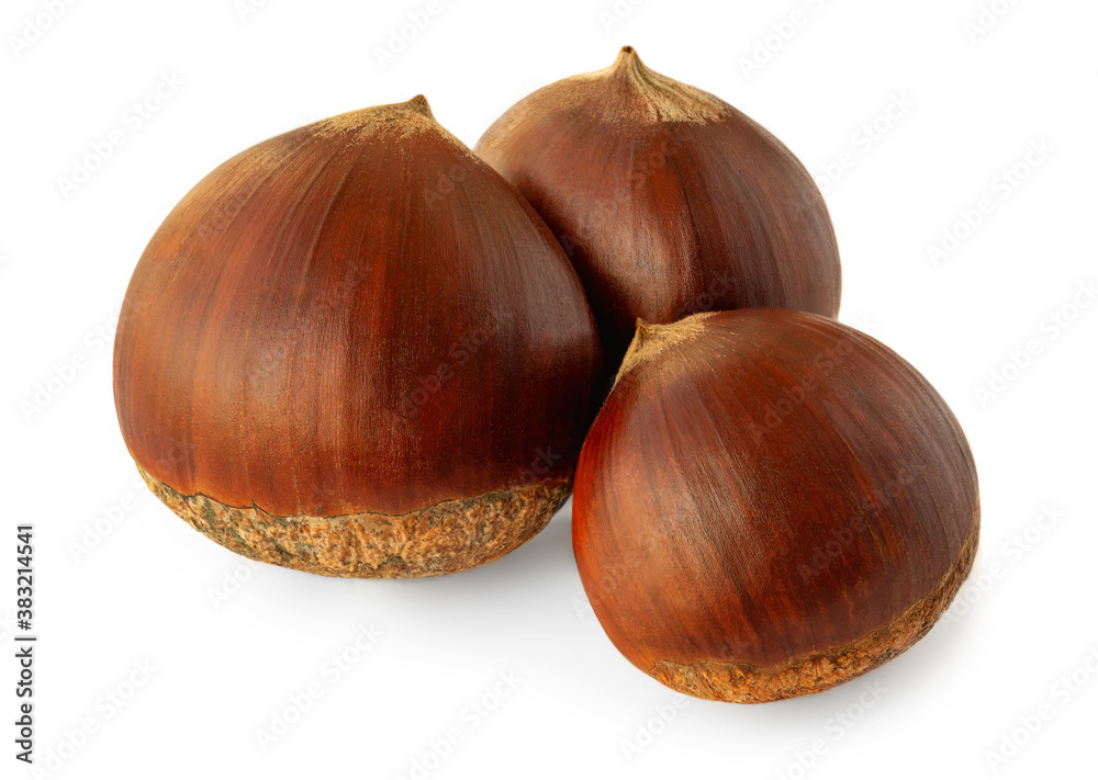 Horse chestnuts. Chestnut Isolated on white background. Close up Horse chestnuts. Chestnut Isolated on white background. Close up