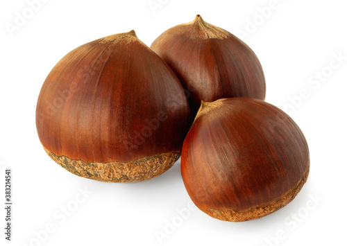 Horse chestnuts. Chestnut Isolated on white background. Close up