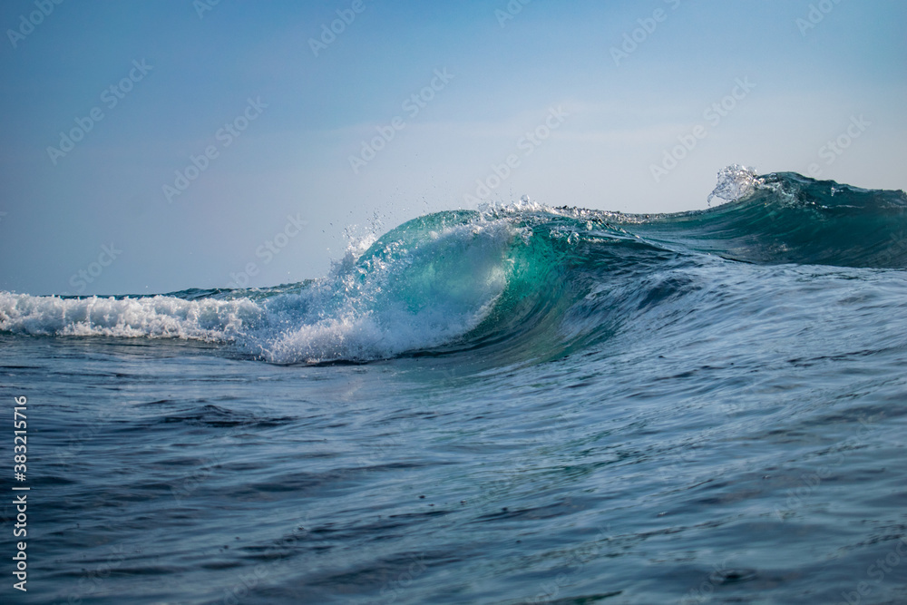 Obraz premium wave in hawaii 