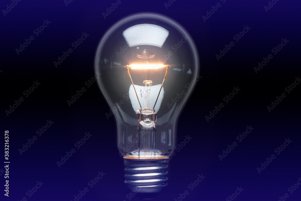 電球 電球