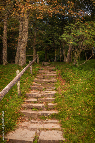 Steps to a hiking trail in the Blue Ridge Mountains