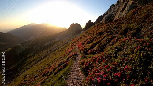 Hiking on a trail at sunrise in the mountains (Esquerdes de rotja, Pyrenees Mountains) photo