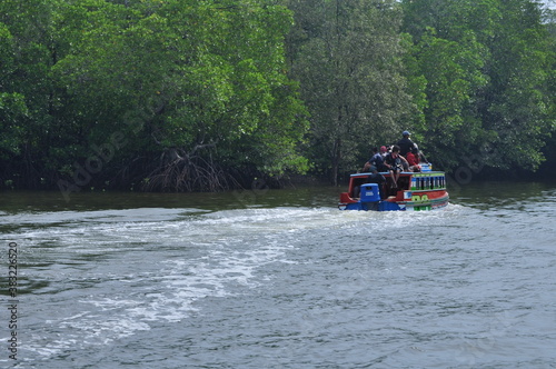 passenger boats passing on rivers and mangrove forest areas