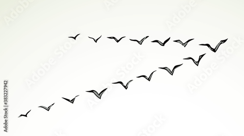 Duck flock in the sky. Vector drawing