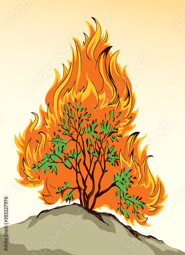 Burning bush. Vector drawing icon