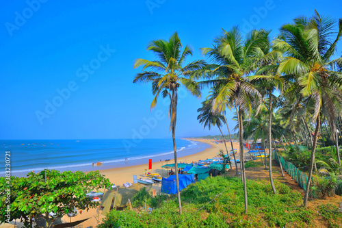 Coconut trees on the sinquerim beach in Candolim, Goa. photo