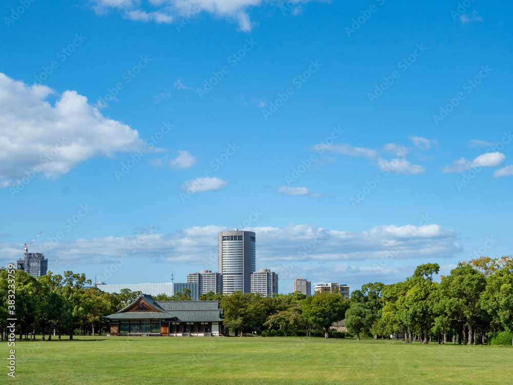 lawn and city skyline