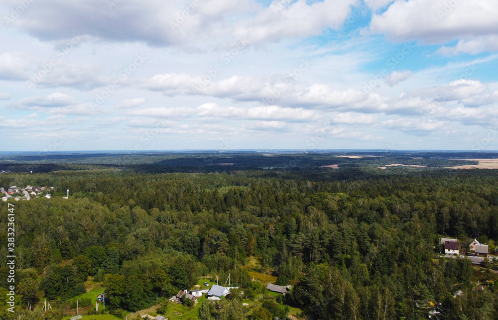 Beautiful top view of forest landscape with green trees Beautiful top view of forest landscape with green trees