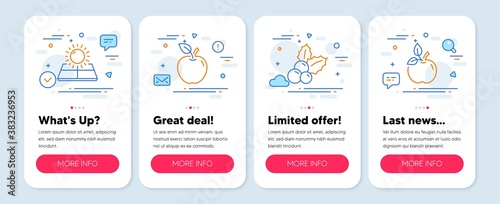 Set of Nature icons, such as Christmas holly, Sun energy, Apple symbols. Mobile screen mockup banners. Eco food line icons. Ilex aquifolium, Solar panels, Fruit. Organic tested. Vector