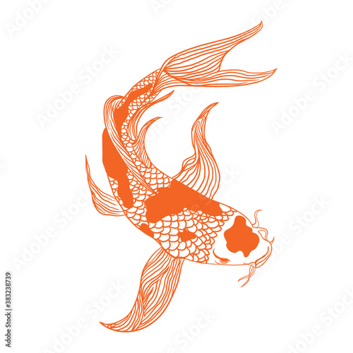 illustration of a koi fish