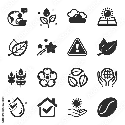 Set of Nature icons, such as Coffee beans, Water drop, Cloudy weather symbols. Mint leaves, Plants watering, Sun protection signs. Organic tested, Leaf, Gluten free. Natural linen, Leaves. Vector