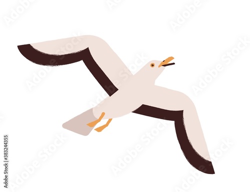 Beautiful colorful seagull flying up or take off with open beak vector flat illustration. Marine bird enjoying flight isolated on white. Cute wild atlantic or antarctic seabird