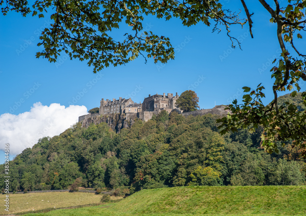 Stirling Castle framed by trees