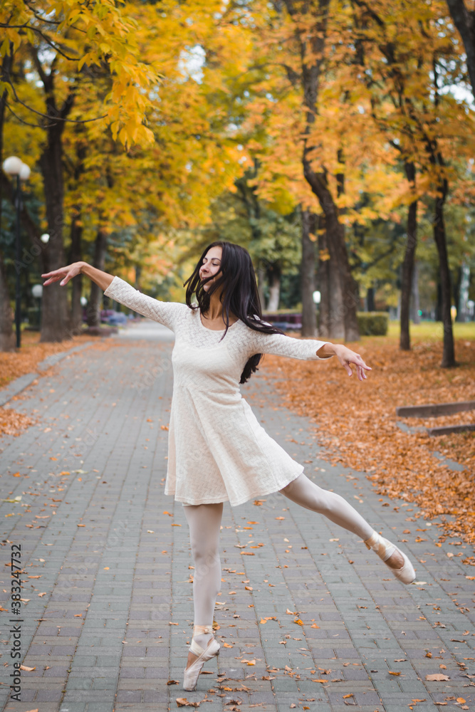 Beautiful girl ballerina posing for photographer Beautiful girl ballerina posing for photographer