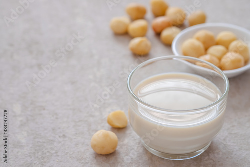 Macadamia milk in glass and macadamia nuts on table