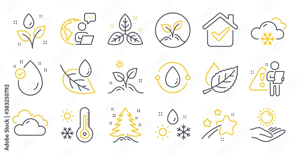 Set of Nature icons, such as Leaf dew, Weather thermometer, Sun protection symbols. Fair trade, Cloudy weather, Grow plant signs. Leaf, Vitamin e, Startup. Cold-pressed oil, Christmas tree. Vector Set of Nature icons, such as Leaf dew, Weather thermometer, Sun protection symbols. Fair trade, Cloudy weather, Grow plant signs. Leaf, Vitamin e, Startup. Cold-pressed oil, Christmas tree. Vector