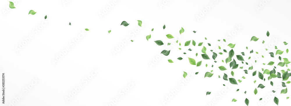 Green Greenery Forest Vector Panoramic White Green Greenery Forest Vector Panoramic White