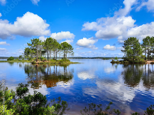 landscape on the lake with reflection of sky and pine trees on clear water