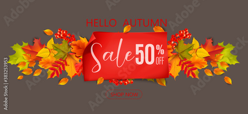 Greetings and gifts for the autumn and autumn season concept. Autumn background, poster and banner template with colorful autumn leaves.