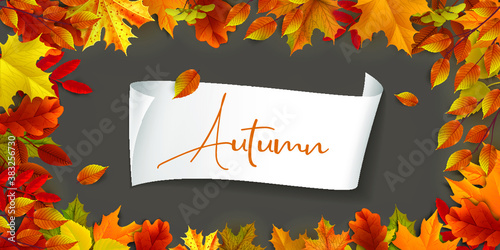 Greetings and gifts for the autumn and autumn season concept. Autumn background, poster and banner template with colorful autumn leaves.