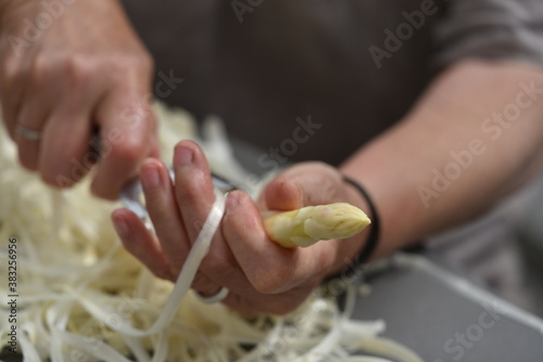 Peel asparagus - Spargel schaelen photo