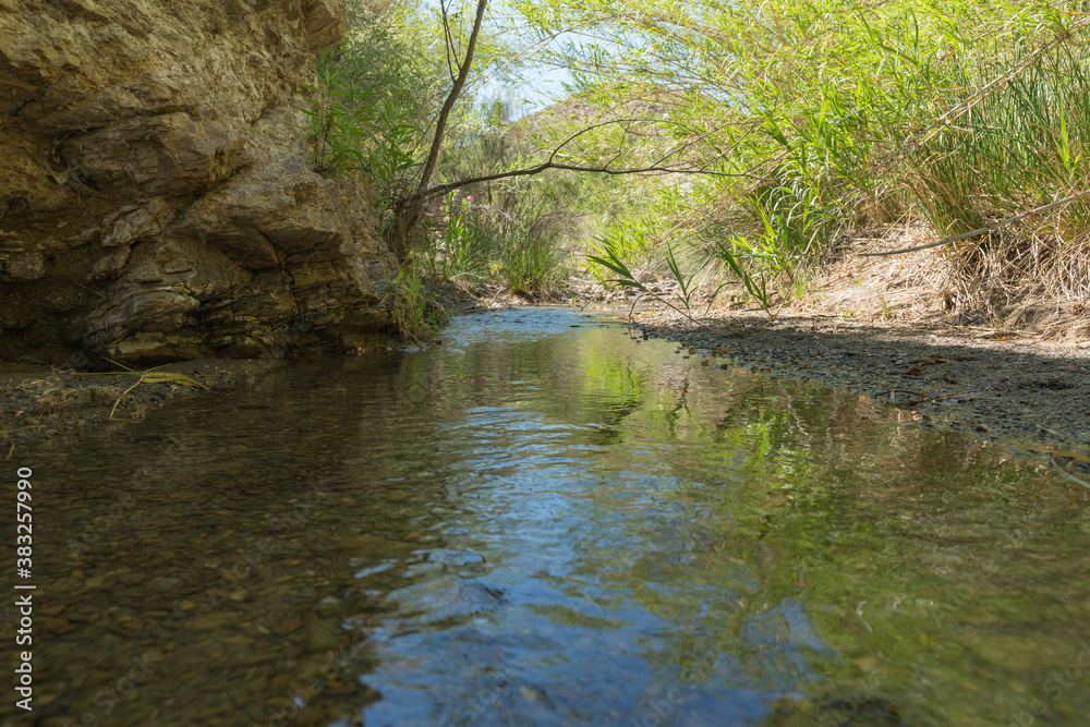 Crystal clear river surrounded by vegetation Crystal clear river surrounded by vegetation