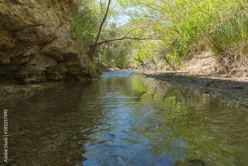 Crystal clear river surrounded by vegetation