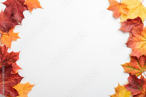 Frame of autumn maple leaves on white background. Autumn fall  thanksgiving concept. Season background. Autumn sale banner mockup.
