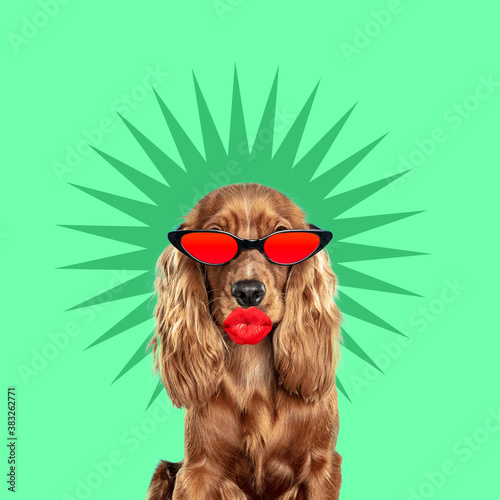 Like red. Modern design. Contemporary art collage with cute dog and trendy colored background with geometric styled elements. Inspirative art, pets, animal, style and fashion concept. Copyspace.