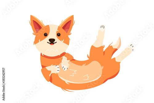 Corgi dog icon isolated on white background, flat vector illustration.