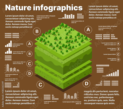Infographics nature Geological and underground layers of soil under the isometric