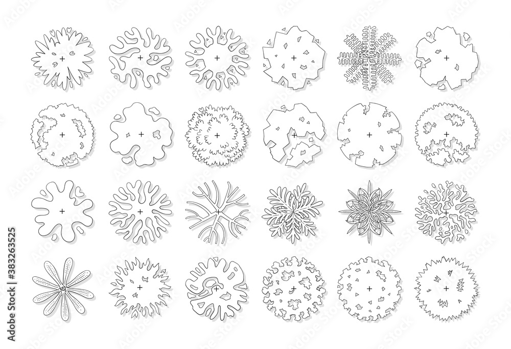 hand drawn vector set of top view tree isolated on white background. hand drawn vector set of top view tree isolated on white background.