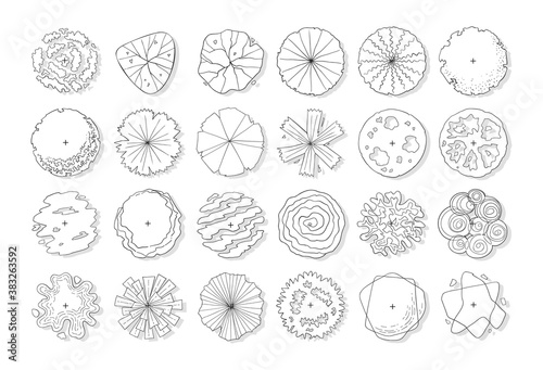 hand drawn vector set of top view tree isolated on white background.