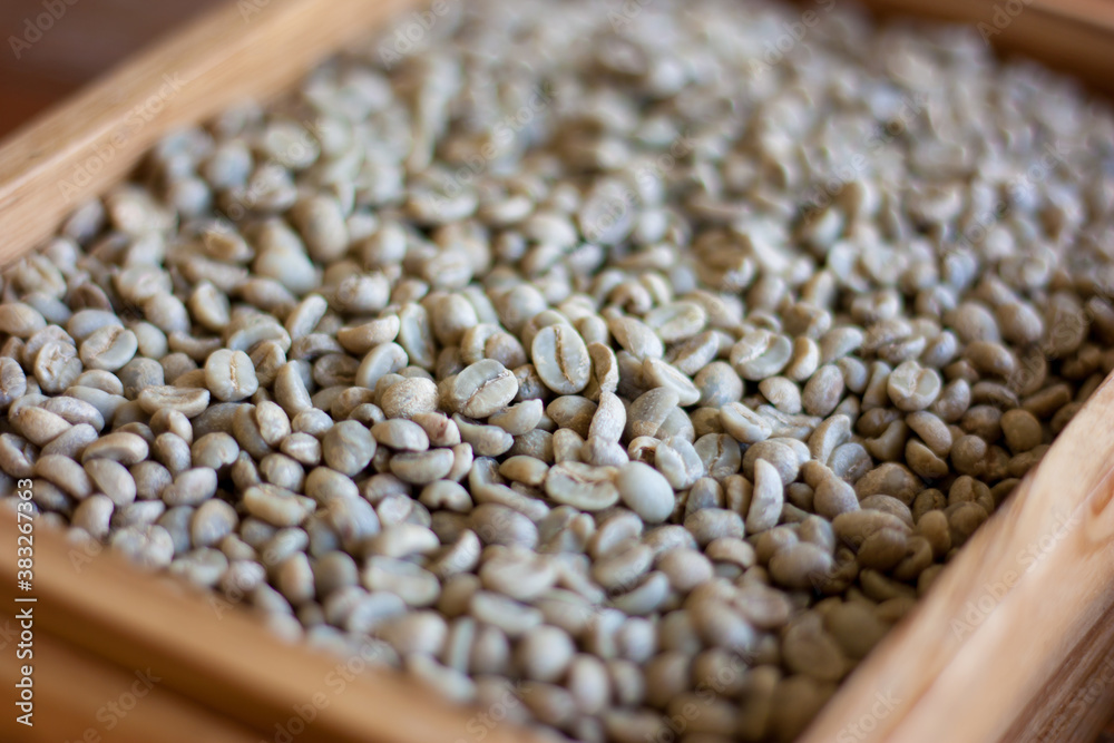 Obraz premium Drying of green beans arabica coffee
