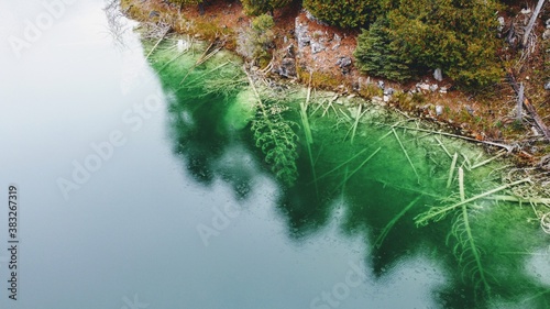 Fallen trees under the water at picturesque McGinnis Lake in Ontario photo